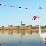 Сasa de vacaciones Maison Piscine Nimes